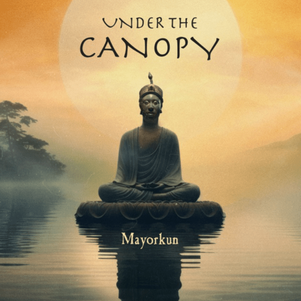 Mayorkun – Under The Canopy